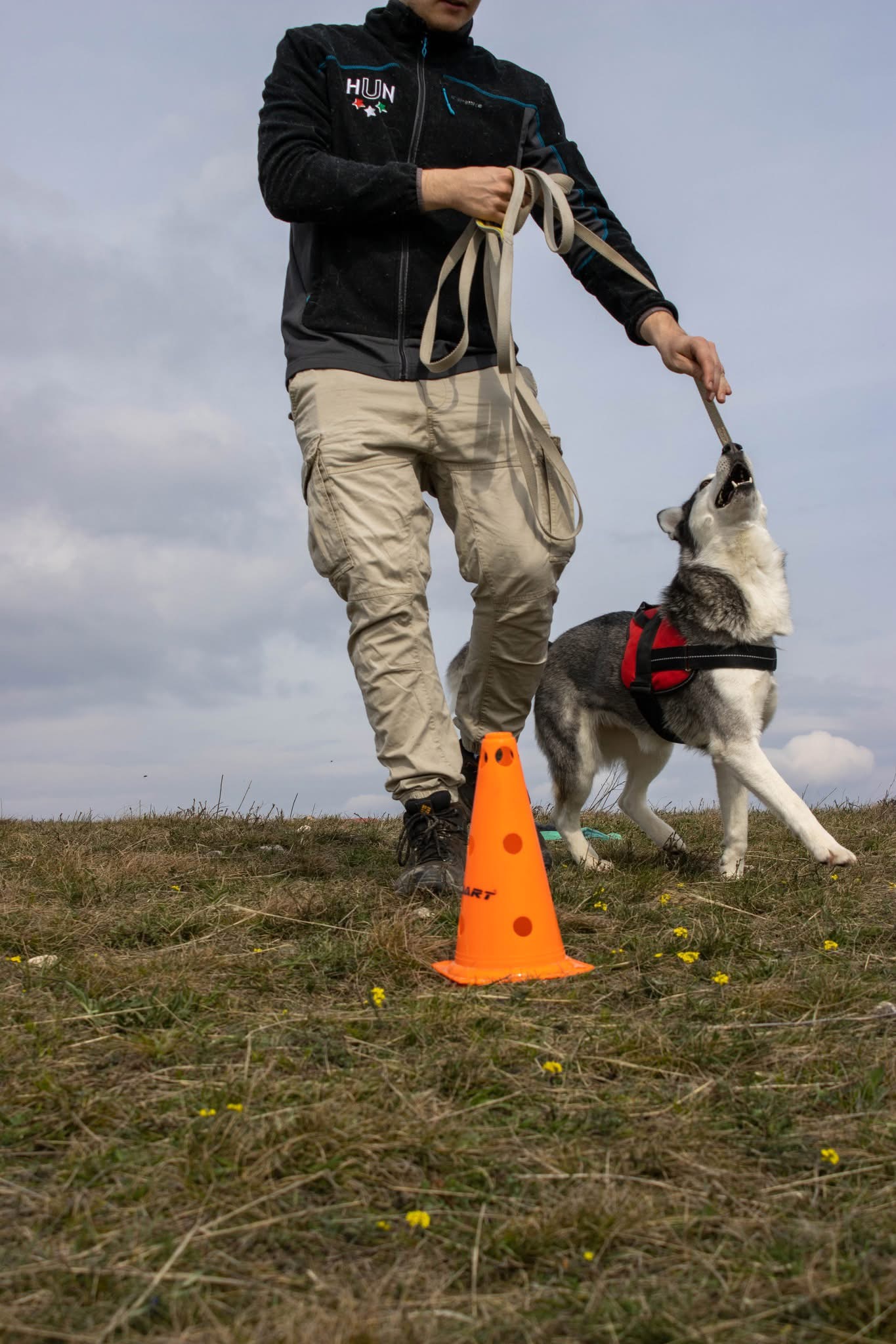 Wanderdogs élet